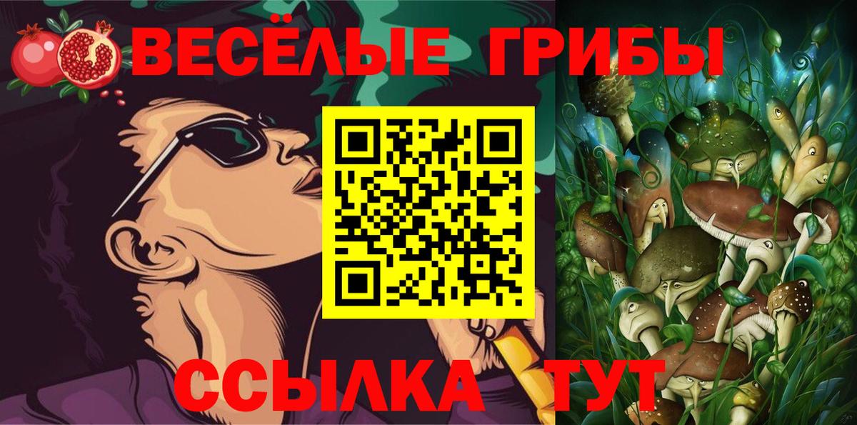 Галлюциногенные грибы Cubensis  Вход с VPN  Галлюциногенные грибы Magic Shrooms  Моздок 