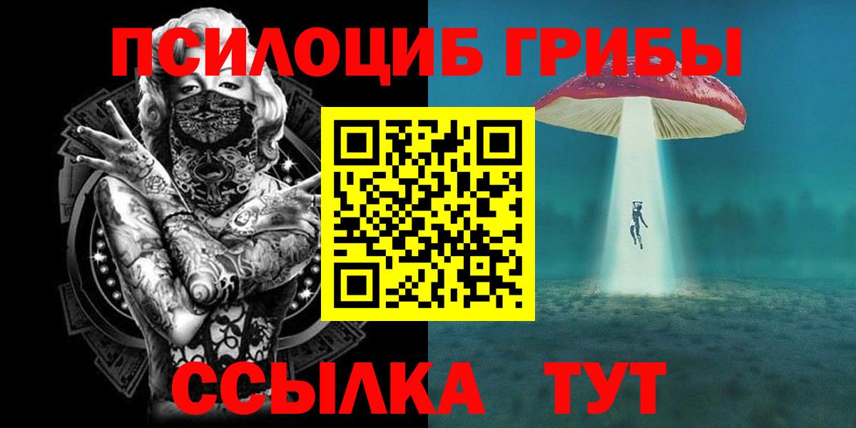 Галлюциногенные грибы Cubensis Моздок